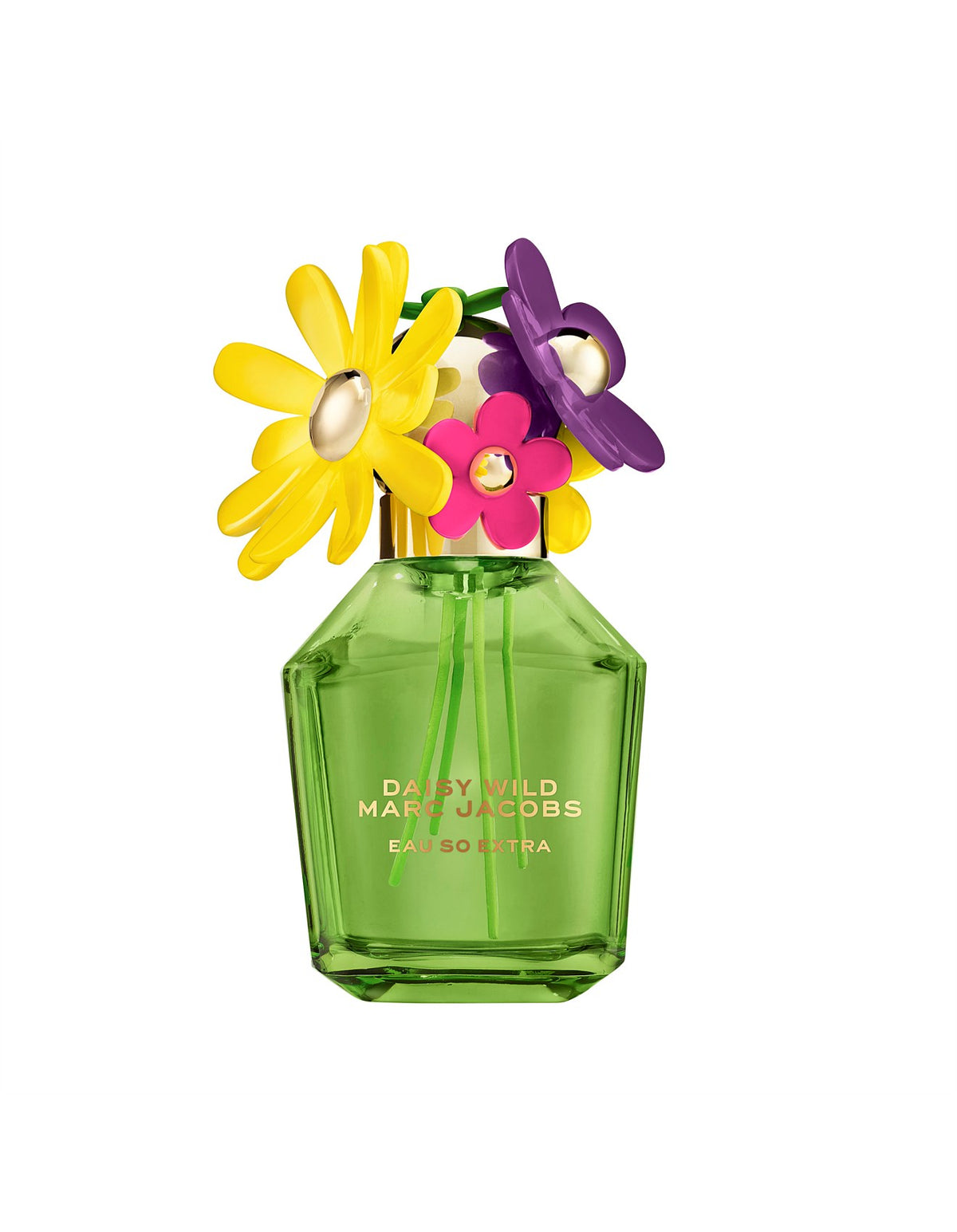 Daisy Wild Eau So Extra Eau de Parfum for Women 100ml