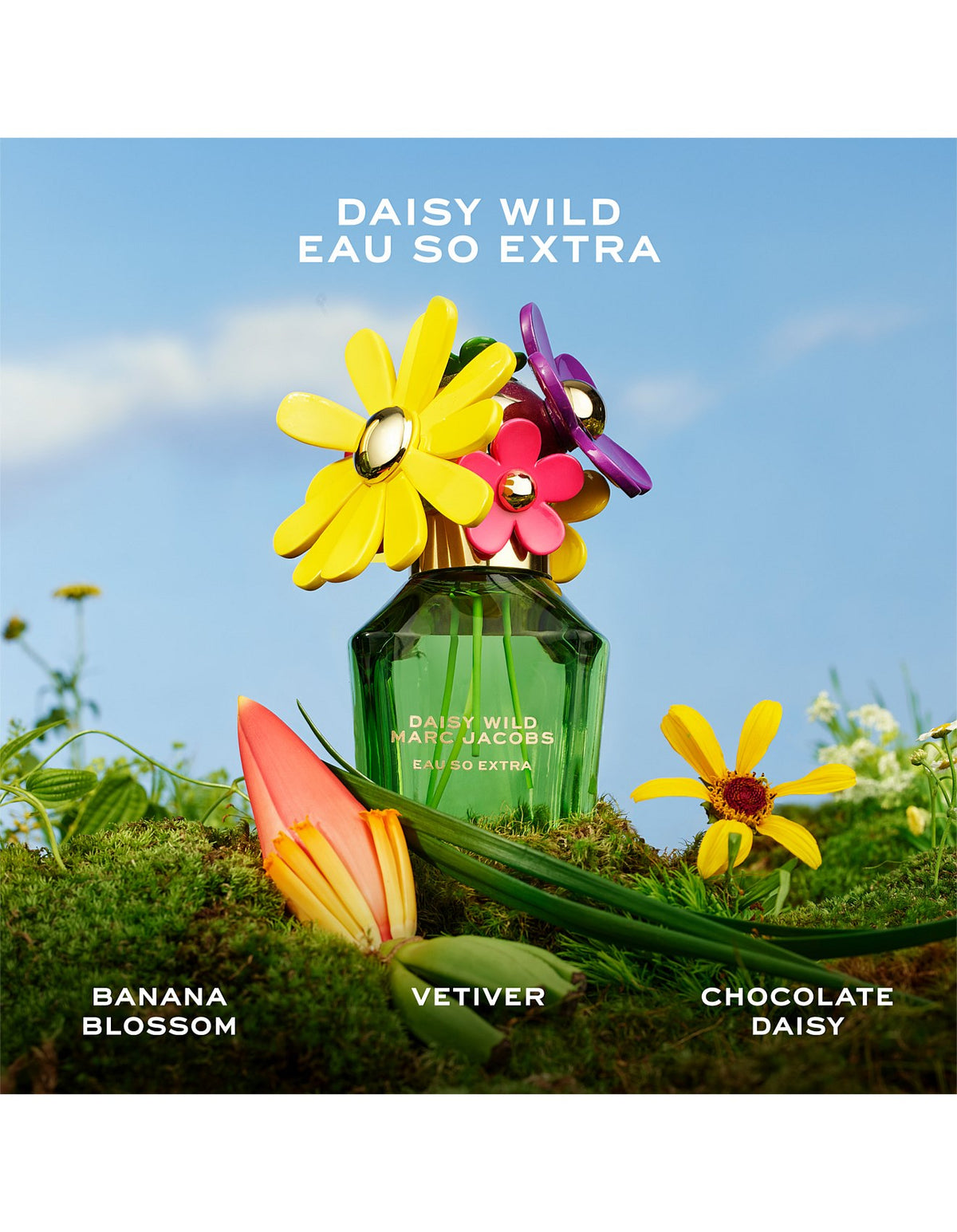 Daisy Wild Eau So Extra Eau de Parfum for Women 100ml