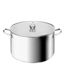 Space+ Emotion+ XL Induction Big Pot 13.8L in Silver
