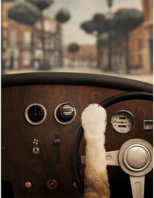 Car Diffuser