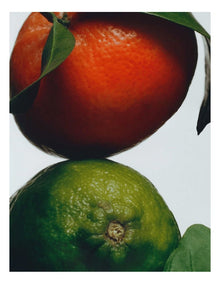 Lime Basil & Mandarin Body Creme