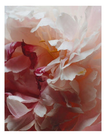Peony & Blush Suede Body Creme