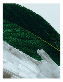 Wood Sage & Sea Salt Body Creme