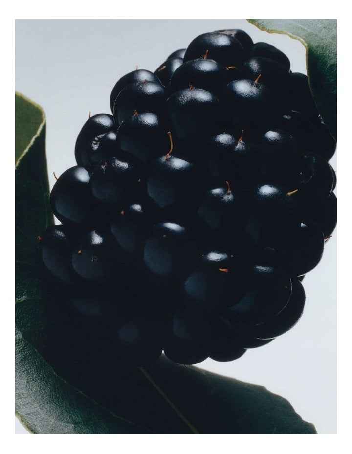 Blackberry & Bay Body Creme