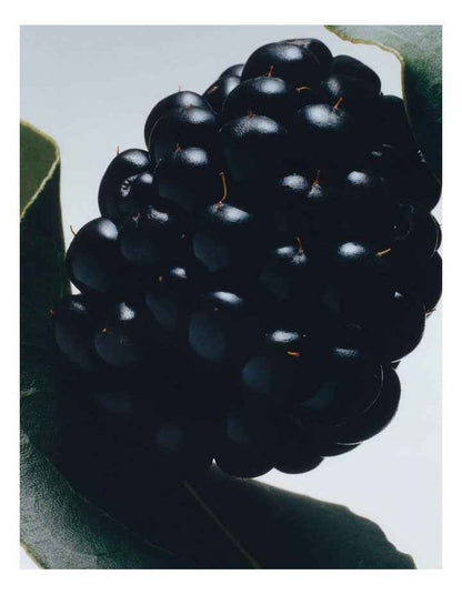 Blackberry & Bay Body Creme