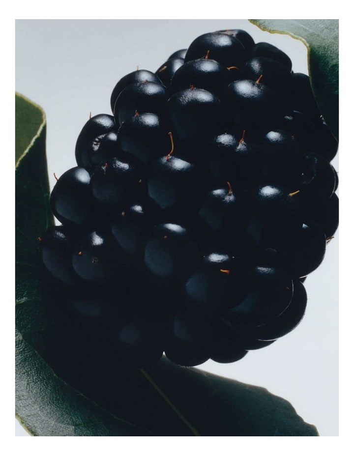 Blackberry & Bay Body Creme