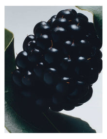 Blackberry & Bay Body Creme