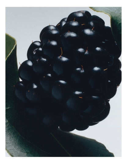 Blackberry & Bay Body Creme