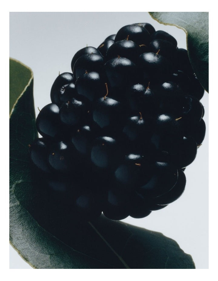 Blackberry And Bay Car Diffuser Refill