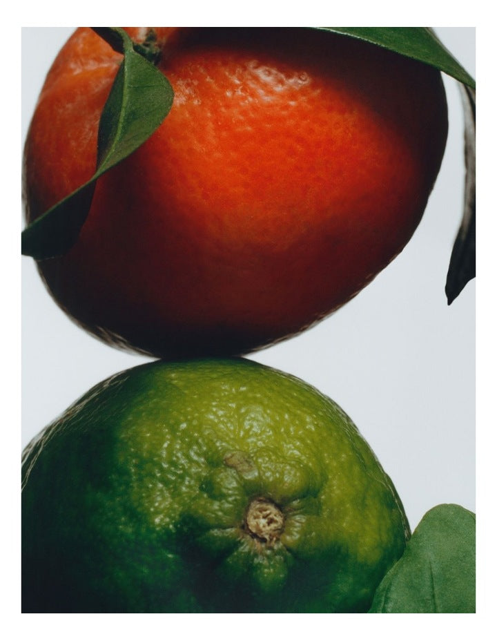 Lime Basil And Mandarin Car Diffuser Refill