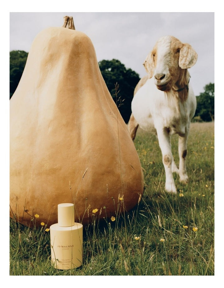 Velvety Butternut Cologne