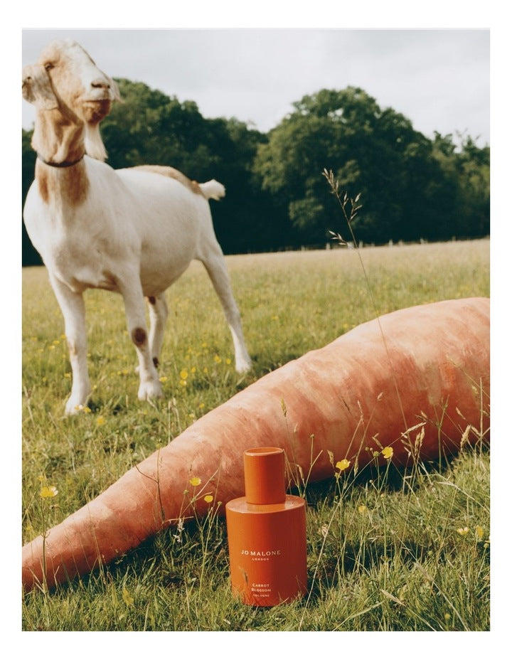Carrot Blossom Cologne
