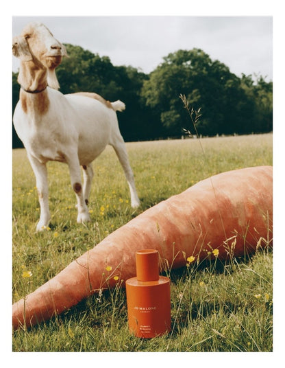 Carrot Blossom Cologne