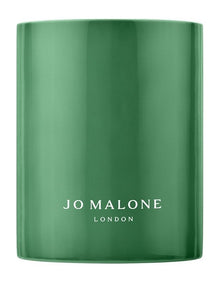 Green Tomato Vine Townhouse Candle 75g