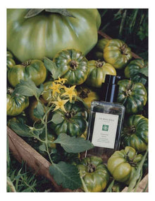 Tomato Leaf Hand Wash