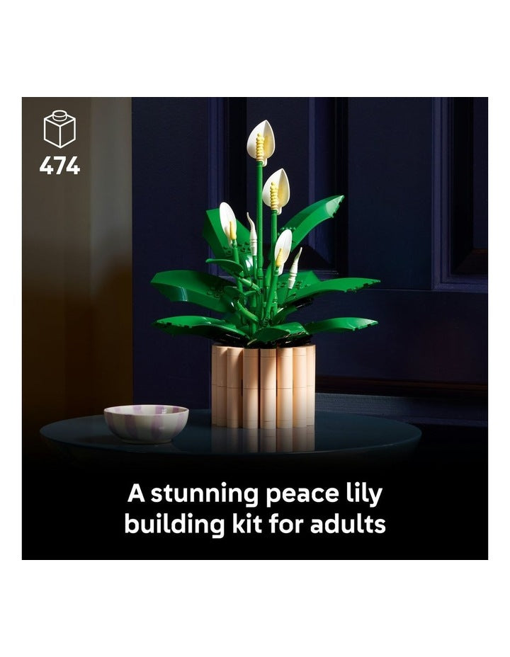 11504 Botanicals Peace Lily