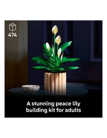 11504 Botanicals Peace Lily