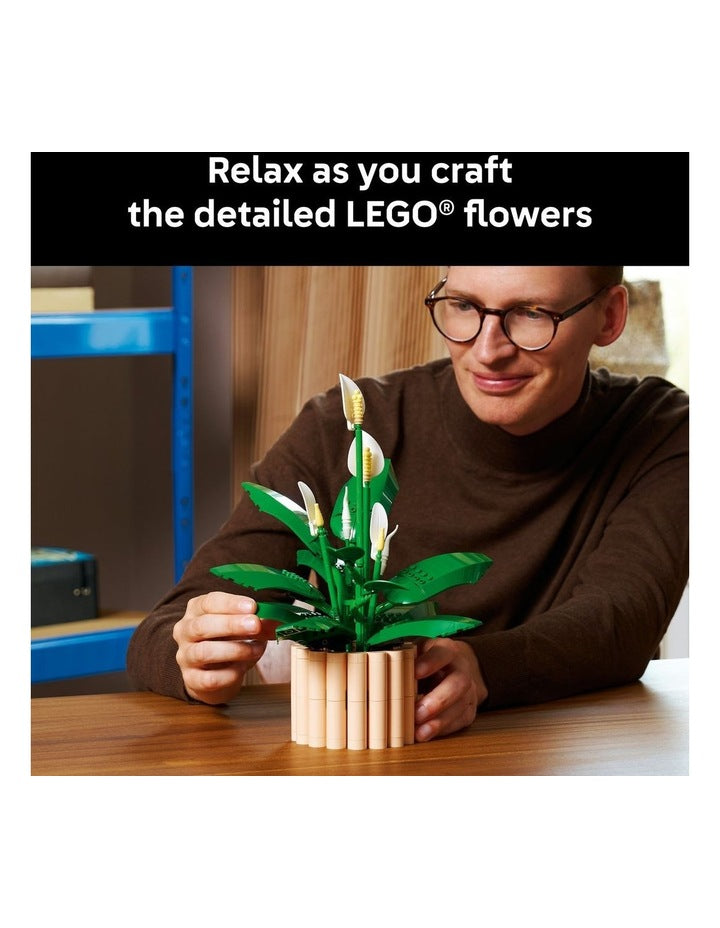 11504 Botanicals Peace Lily