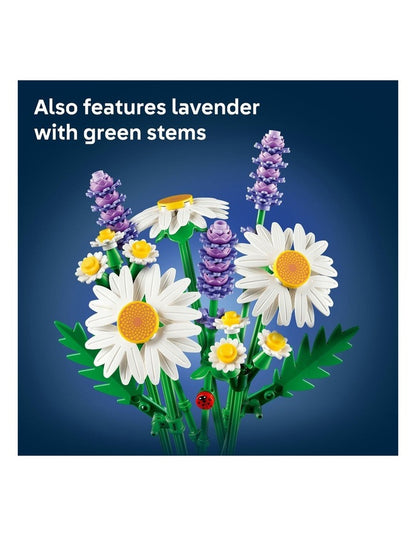 11508 Botanicals Daisies