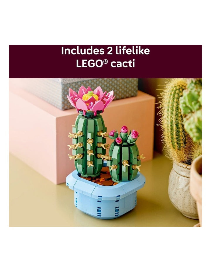 Botanicals Flowering Cactus 11509