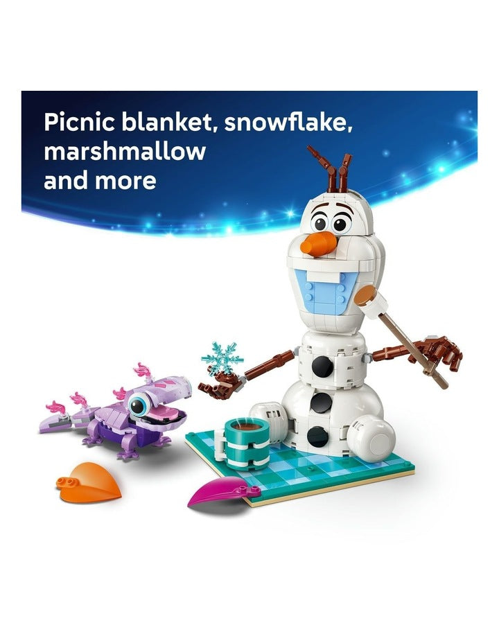 Disney Olaf And Bruni's Picnic Fun 43287
