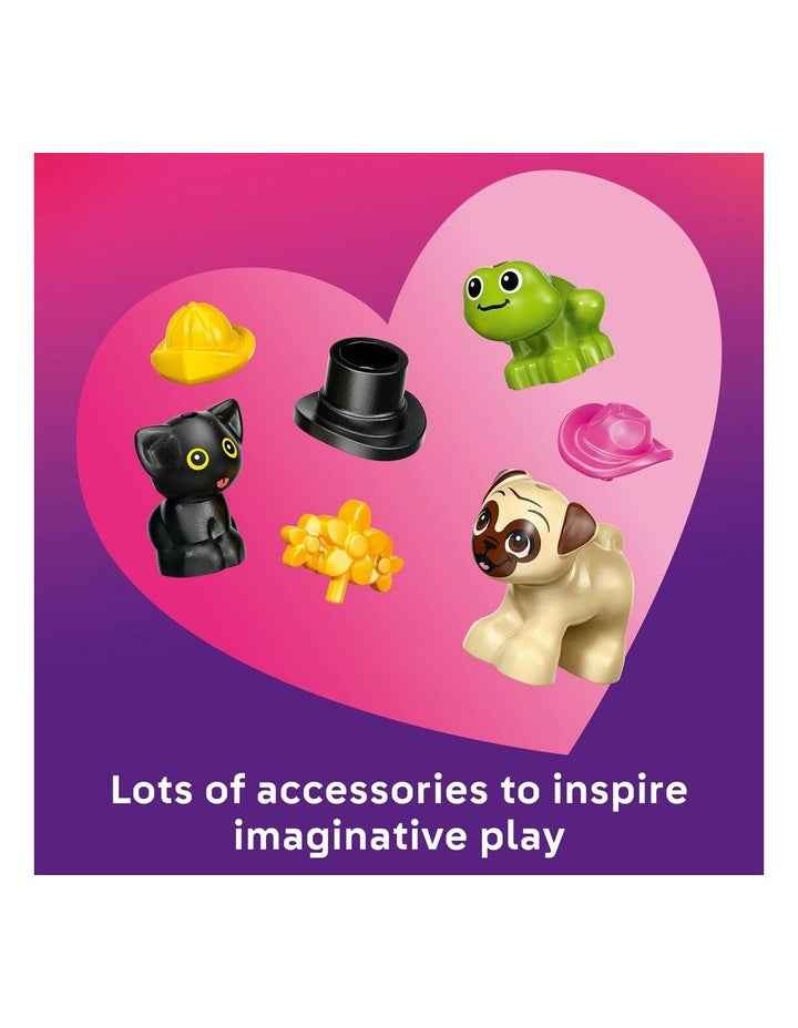 Friends Pet Accessories Van 42678
