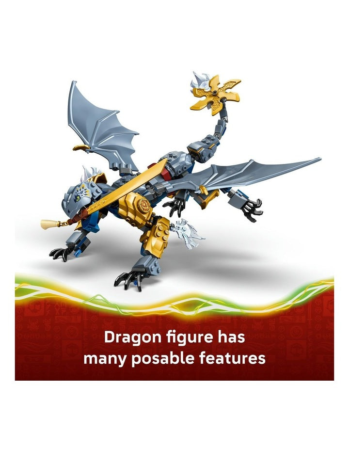 Ninjago Ninja Dragon Riyu's Battle 71855