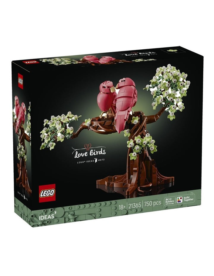 Ideas Love Birds 21365