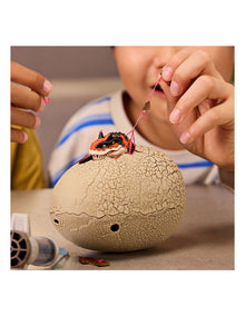 Primal Hatch Hybrid Hatchers Toy