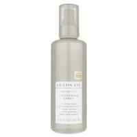 Kristin Ess Instant Lift Thickening Spray 250ml