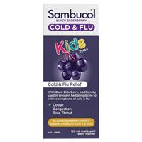 Sambucol Black Elderberry Cold & Flu Kids Liquid 120mL - GimmeNow
