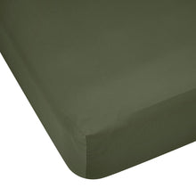 500 Thread Count Australian Grown Cotton Fitted Sheet - Queen Bed, Forest