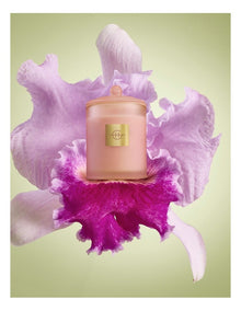 Radiance In Bloom Candle 380g