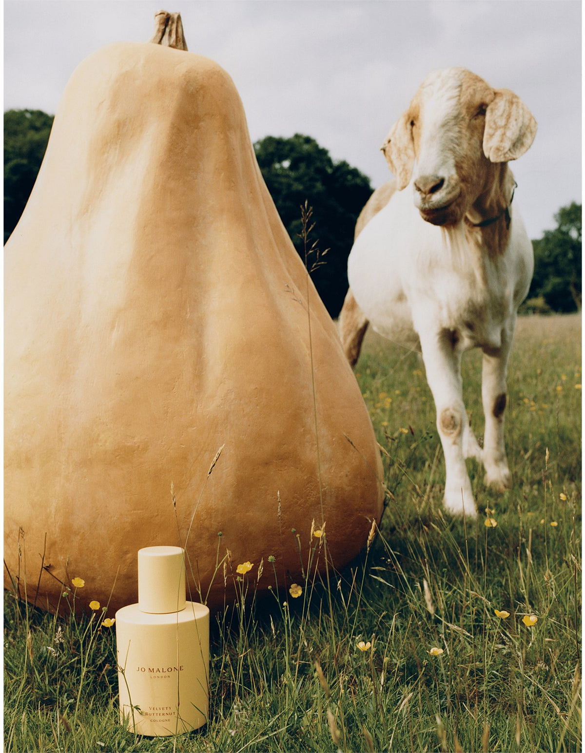 Velvety Butternut Cologne 30ml