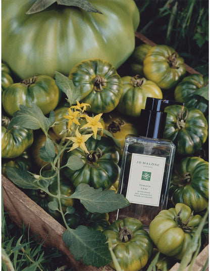 Tomato Leaf Hand Wash 250ml