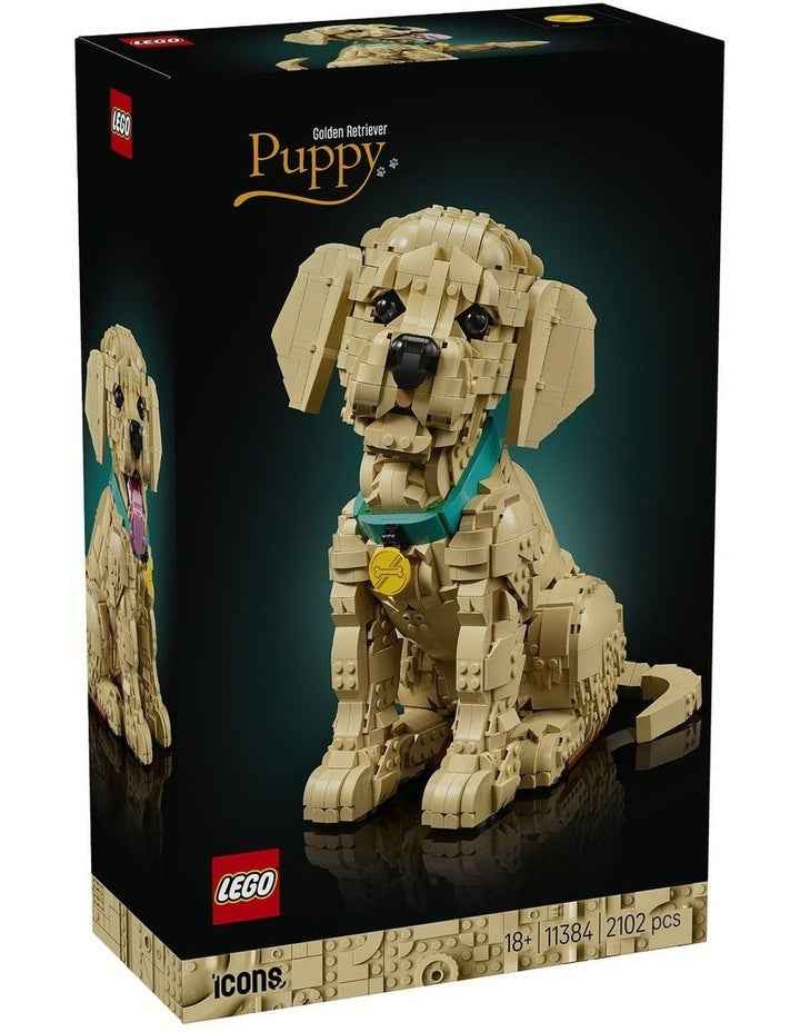 Icons Golden Retriever Puppy 11384