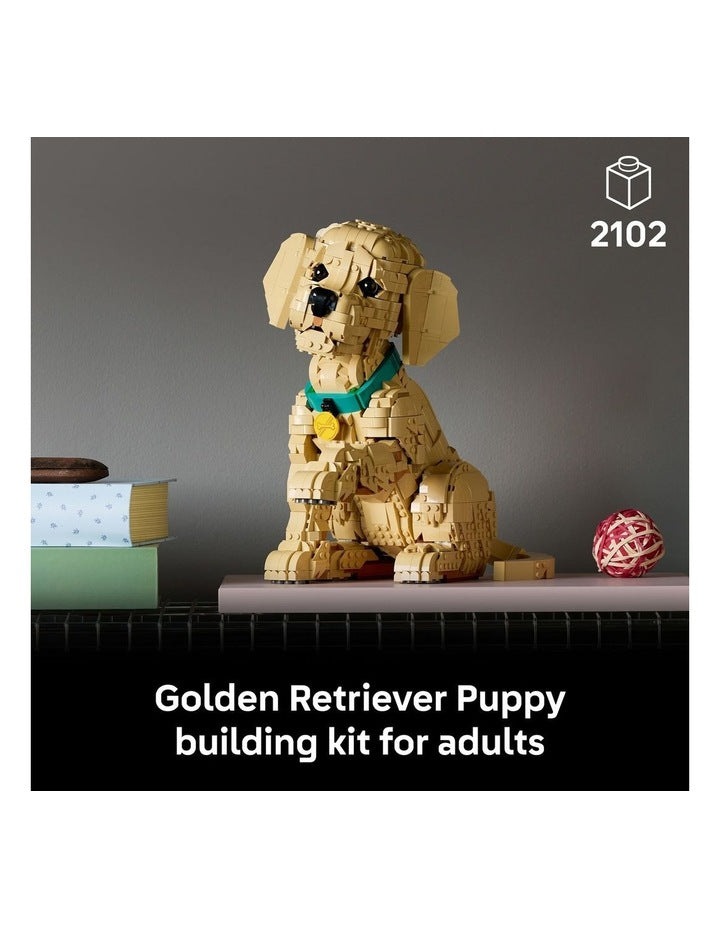 Icons Golden Retriever Puppy 11384