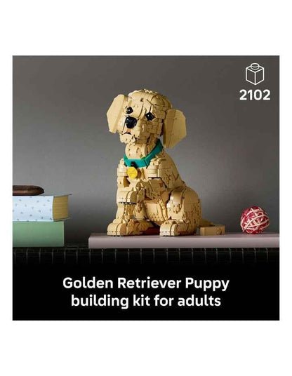 Icons Golden Retriever Puppy 11384