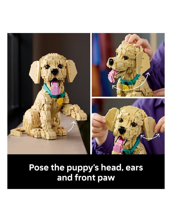 Icons Golden Retriever Puppy 11384