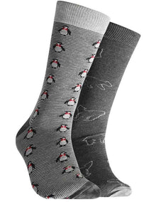 Artic Journey Bamboo Socks 2 Pack in Grey