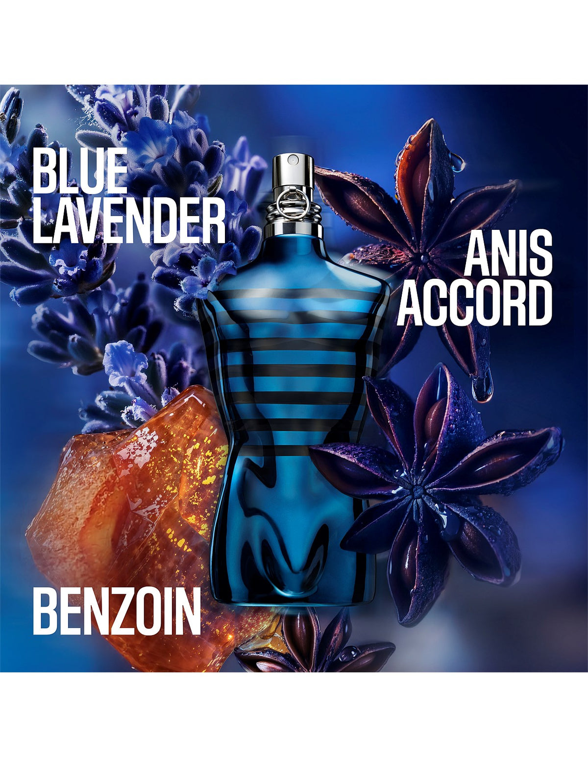 Le Male In Blue Limited Edition 75ml