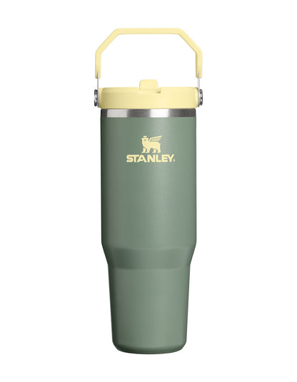 ICEFLOW FLIP STRAW 2.0 TUMBLER 30OZ CACTUS WESTERN¿
