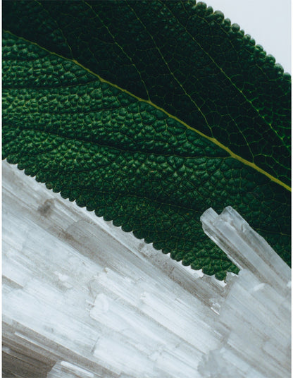 Wood Sage & Sea Salt Hand Cream - 2026 Edition