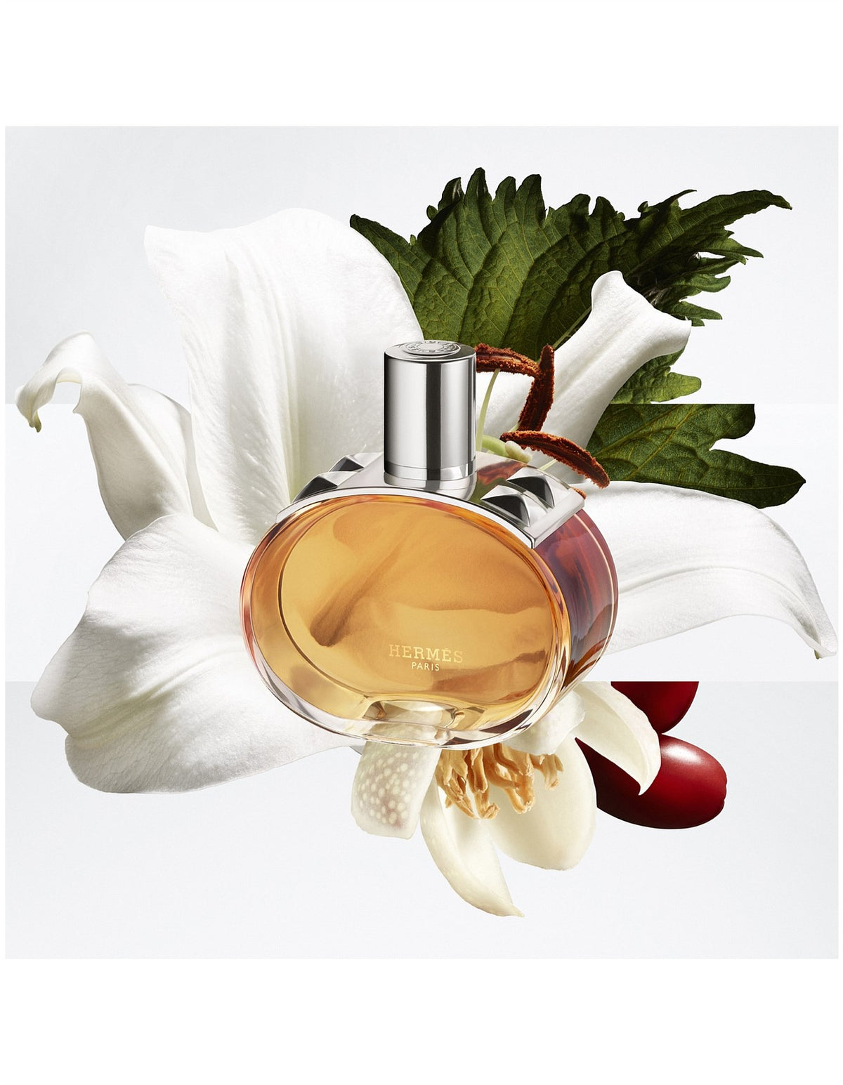 Barenia Pleine Fleur EDP Nomad 15ml with Box