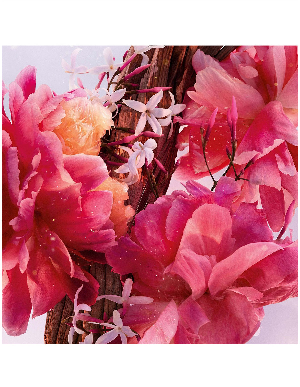 Miss Dior Eau De Parfum 50ml