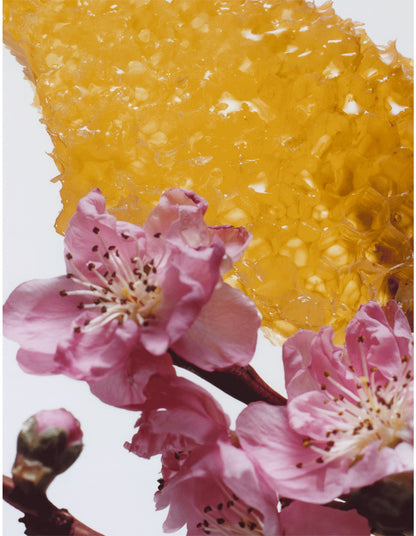 Nectarine Blossom & Honey Body & Hand Wash 250ml