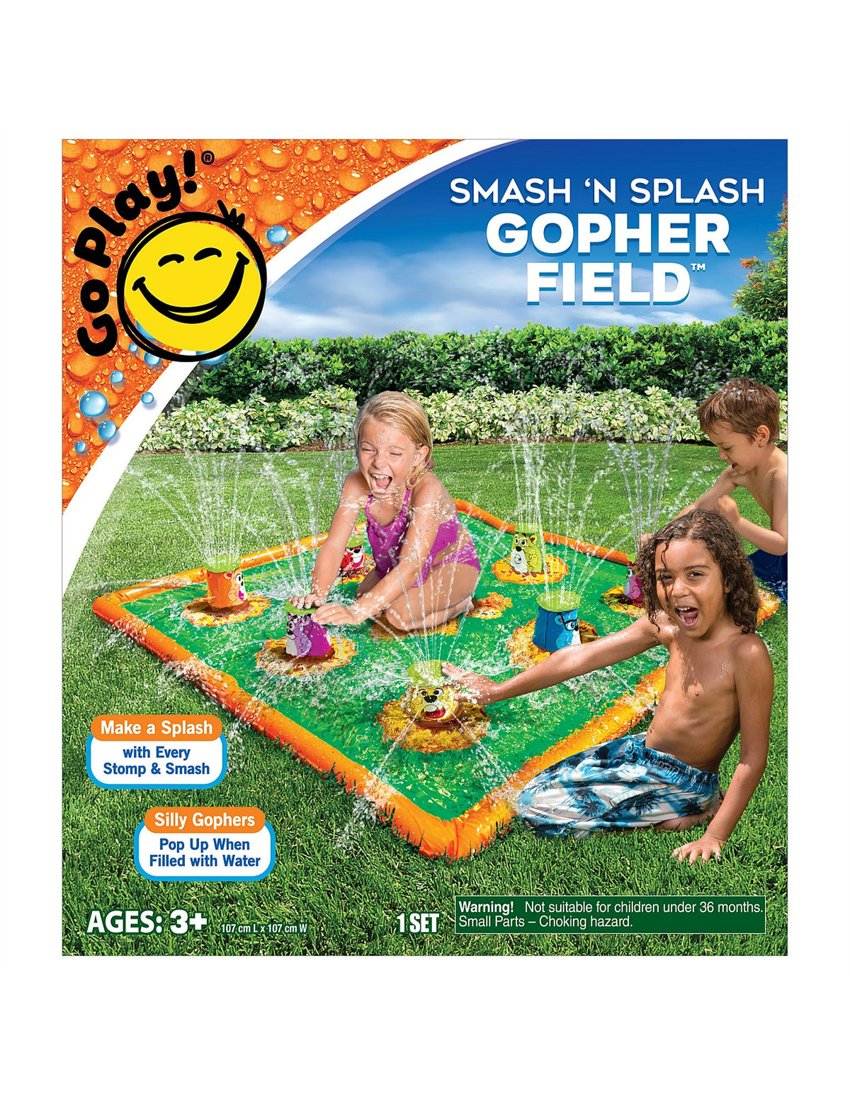 SMASH 'N SPLASH GOPHER FIELD