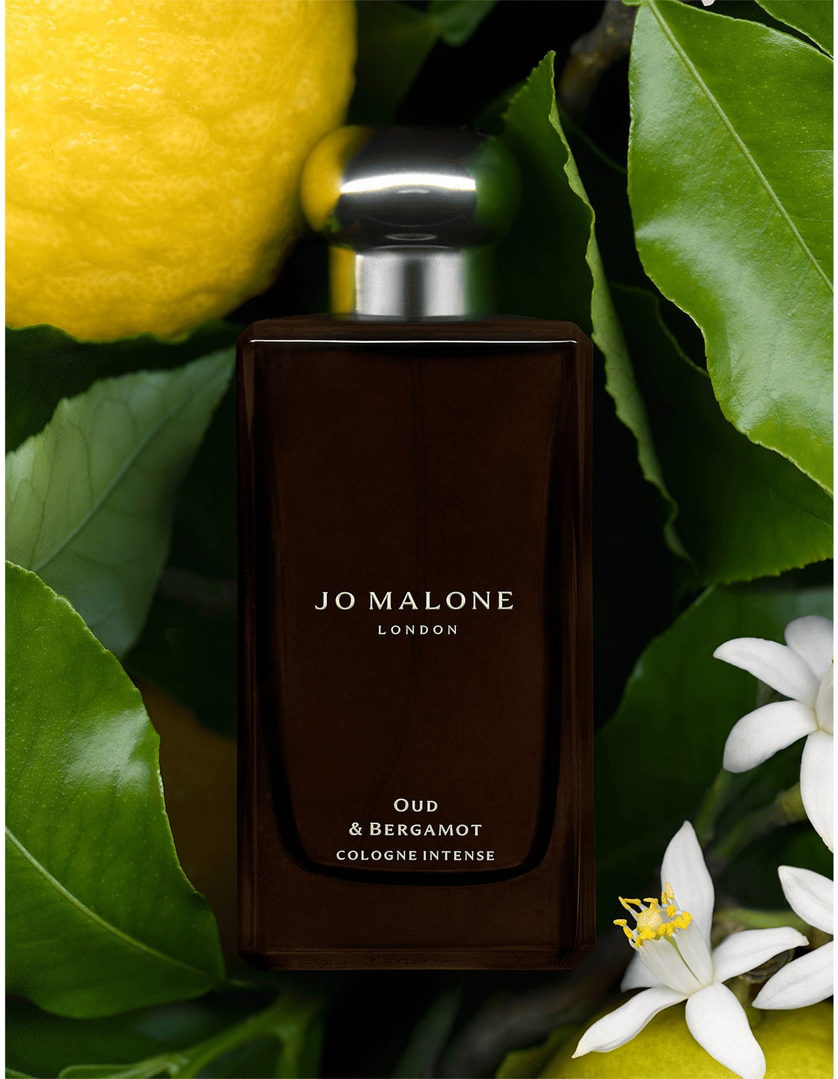 Oud & Bergamot Cologne Intense 30ml