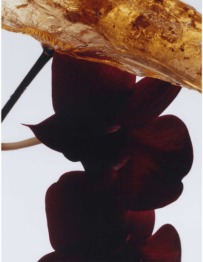 Dark Amber & Ginger Lily Cologne Intense 30ml