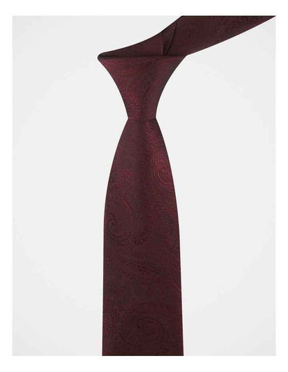 PAISLEY Tie in Burgundy